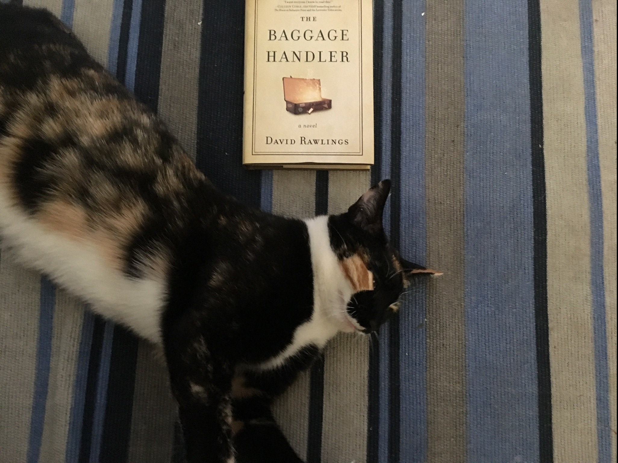 91879667-8190-4D77-A833-E16510CEC45D